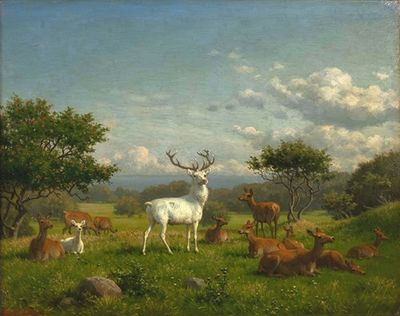 A white stag with its pack