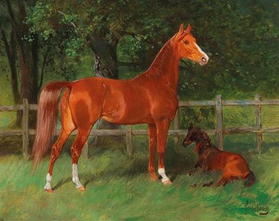 Chestnut with Foal in the Meadow