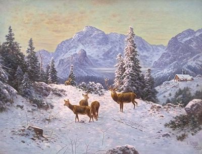 Hirsch mit Rudel im Winter