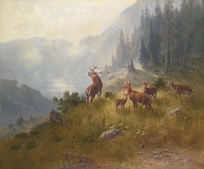 Hirsche im Hochgebirge