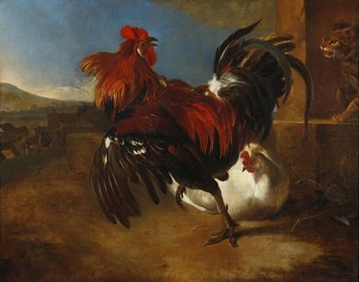 Poultry-yard with angered cock