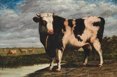 A prize bull