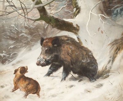 Hound tracking down a wild boar
