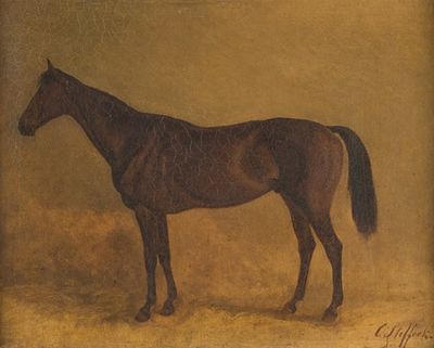 Brown race horse