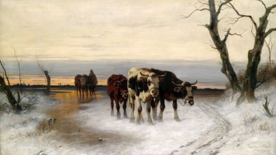Heimtrieb der Herde in winterlicher Landschaft
