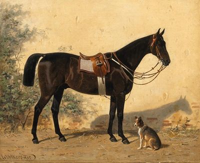 A Black Horse with a Dog