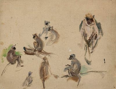 Monkeys. From the journey to India