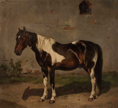 Horse with the barn in the background