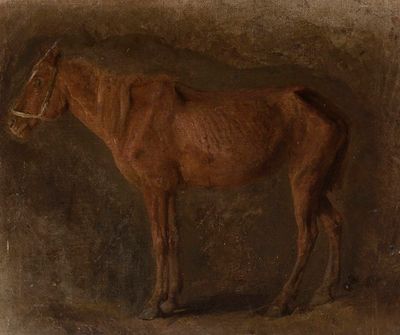 Study of a horse