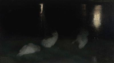 Nocturne. Swans in the Saxon Garden in Warsaw at night (Sleeping swans, Swans at night)