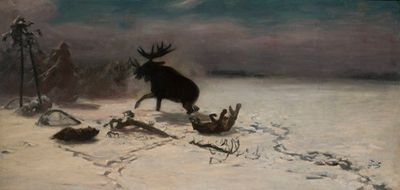 Elk fighting the wolves