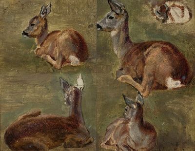 Sketches of fawns