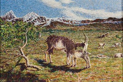 Goats against landscape