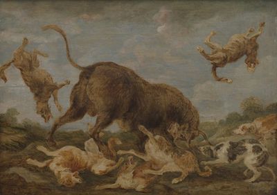 Buffalo attacked by dogs