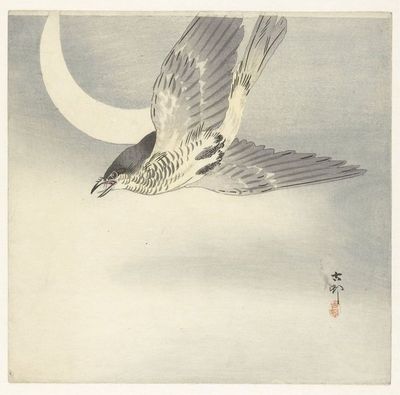 Cuckoo at crescent moon