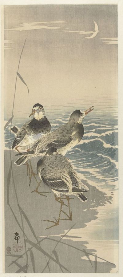 Sandpipers at sickle moon