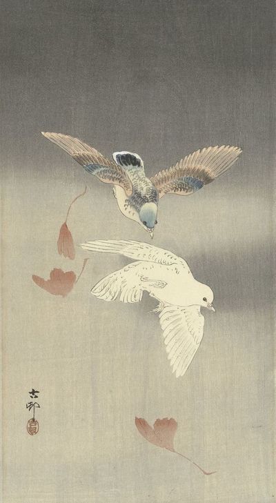 Two pigeons with falling ginkgo leaves