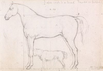 《马的解剖学习作》，建立于《月食》，1832年11月26日