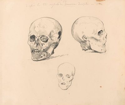 对敦刻尔克的雅各布·安东尼奥·蒂默尔曼头骨的三项研究