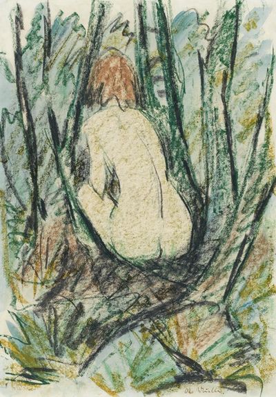 裸体坐在森林里