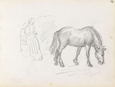 女性身材和马
