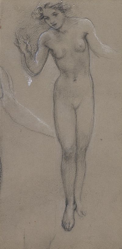 《戴安娜王妃与恩迪米昂》中裸体女性形象的习作