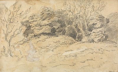 树木和岩石素描