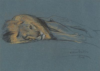 沉睡的狮子