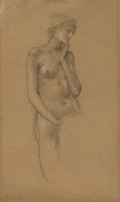 《阿瓦隆的亚瑟》中山神女性裸体的习作