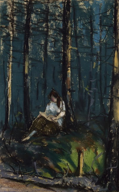 森林中的读者
