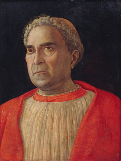 红衣主教卢多维科·斯卡兰皮·梅扎罗塔称卢多维奥·特雷维萨诺