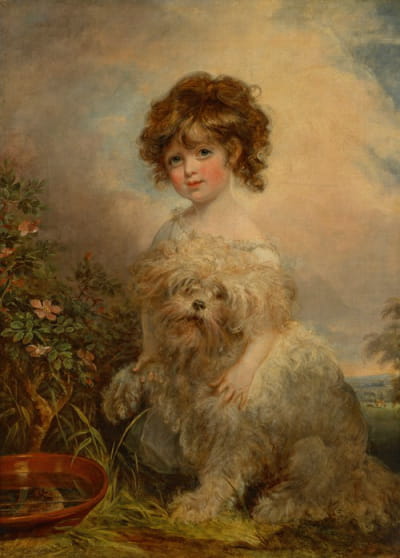 赫蒂·戈德米德小姐的肖像（1798-1816）