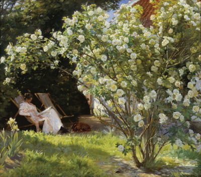 玫瑰。Marie Krøyer坐在Bendsen夫人家附近花园的躺椅上