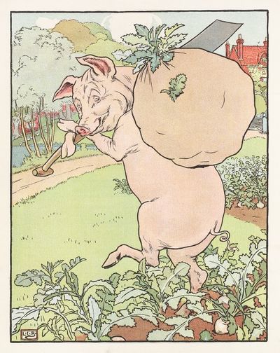 A pig in the garden