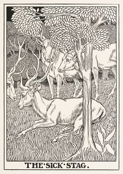 The Sick Stag