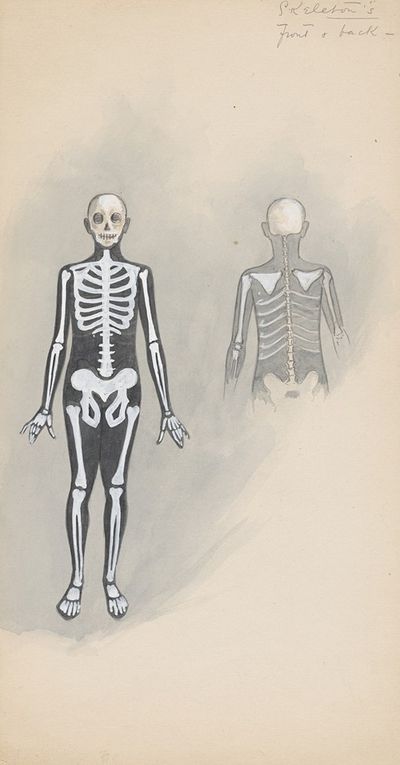 Skeletons - front & back