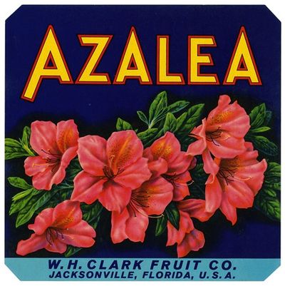 Azalea Fruit Label