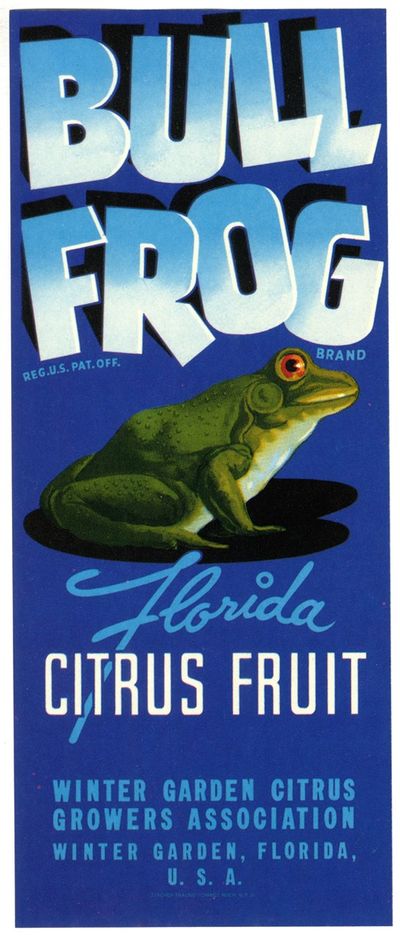 Bull Frog Brand Florida Citrus Fruit Label