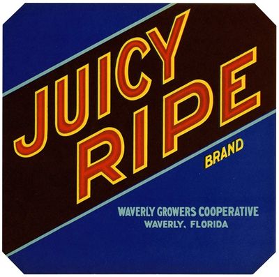 Juicy Ripe Brand Citrus Label