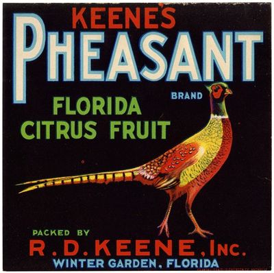 Keene’s Pheasant Brand Florida Citrus Fruit Label