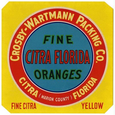 Label for Fine Citra Oranges - Yellow