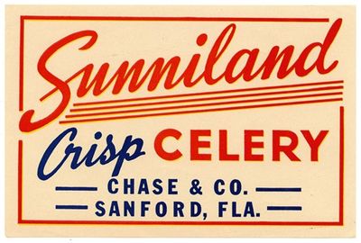 Sunniland Crisp Celery Label