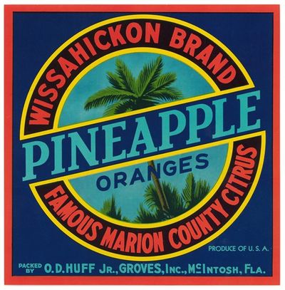 Wissahickon Brand Pineapple Oranges Label