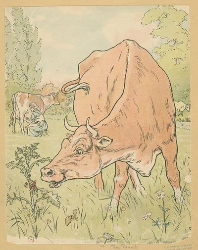 The cow sees Tom Thumb.