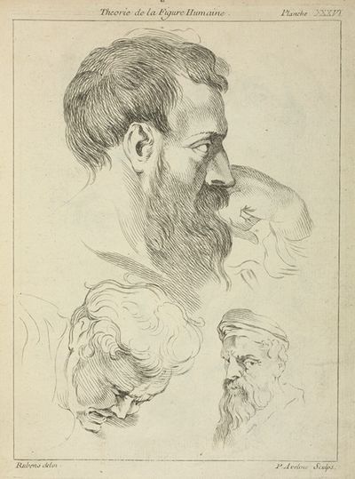 Three studies of men’s heads