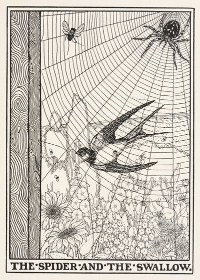 The Spider and the Swallow