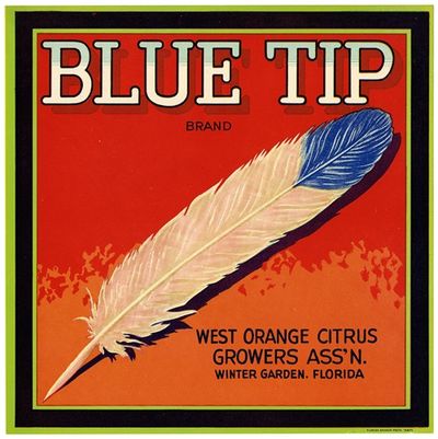Blue Tip Brand Citrus Label