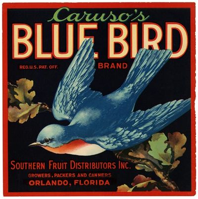 Caruso’s Blue Bird Brand Fruit Label