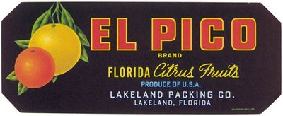 El Pico Brand Florida Citrus Fruit Label