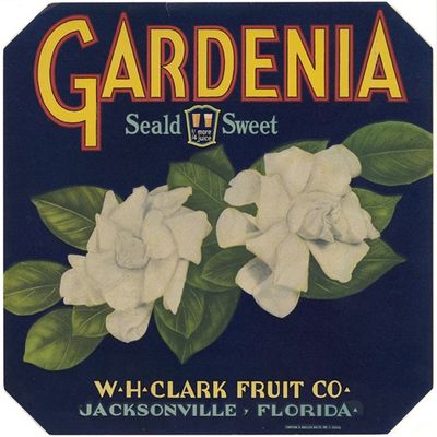 Gardenia Fruit Label